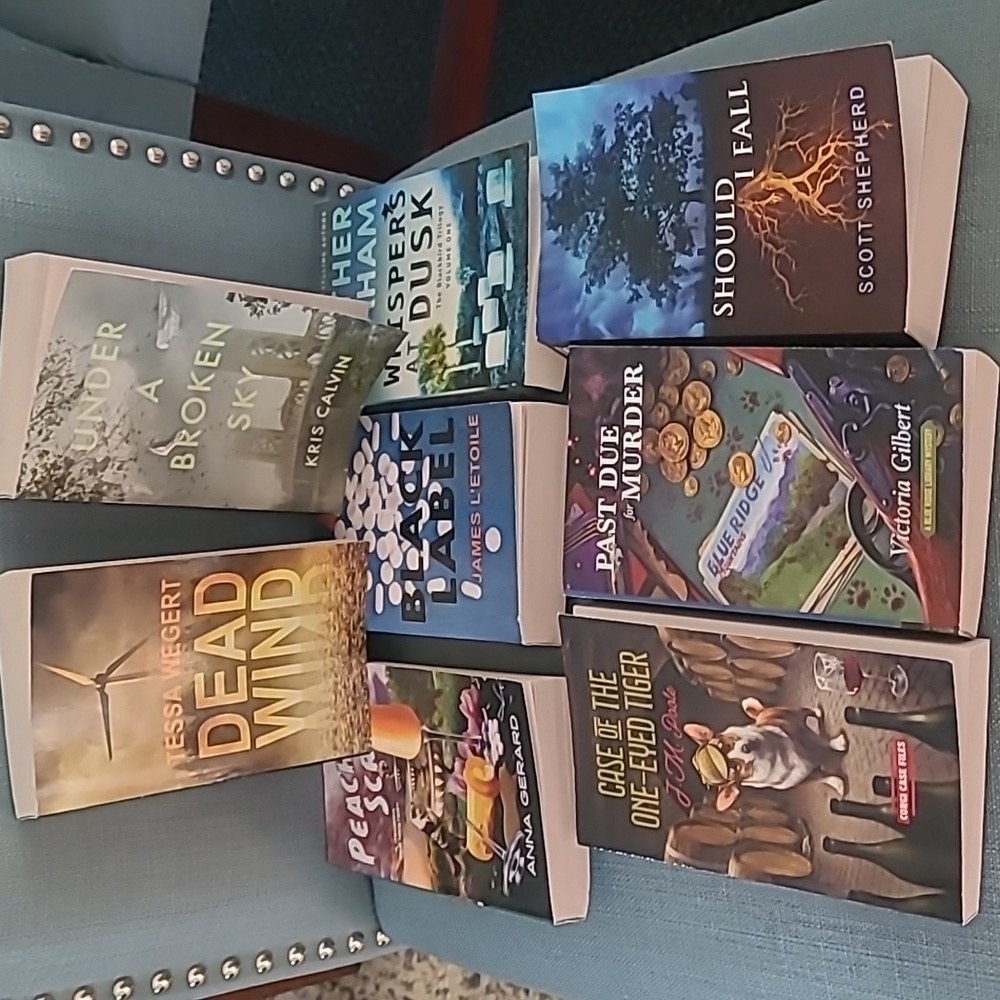 Lot of 8 adult books, EUC